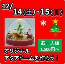 2013.12.14-アクアドーム 2013.12.14-アクアドーム