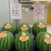本日も美味しいスイカ入荷です！