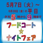 nightfair_s